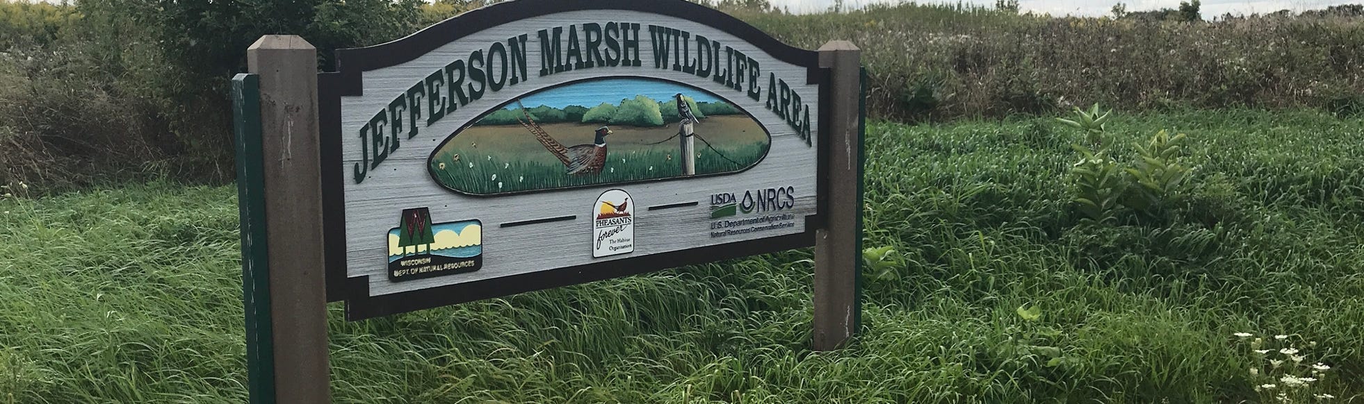 Jefferson Marsh Wildlife Area Wisconsin